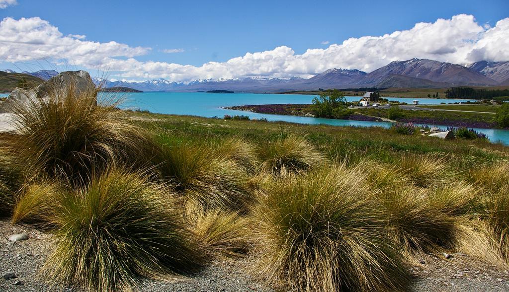 凤凰汽车旅馆 Temuka 外观 照片
