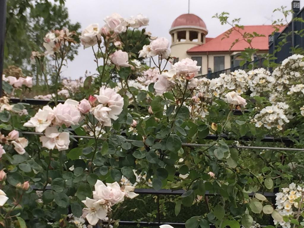 凤凰汽车旅馆 Temuka 外观 照片